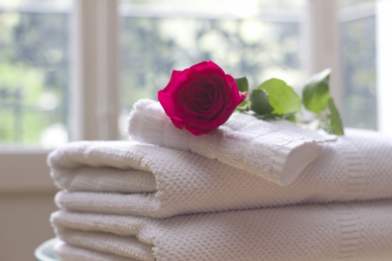 chambre-hote-RAYOL CANADEL SUR MER-min_towel_rose_clean_care_salon_spa_white_bath-731641